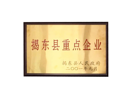 揭东县重点企业