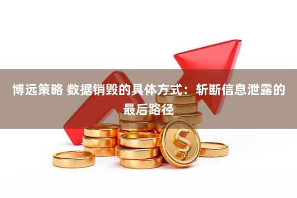 博远策略 数据销毁的具体方式：斩断信息泄露的最后路径